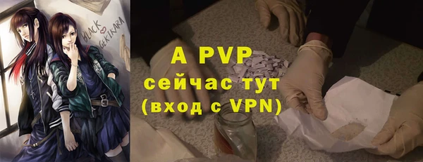 стафф Елабуга