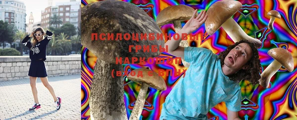 стафф Елабуга