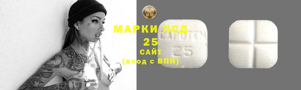 стафф Елабуга
