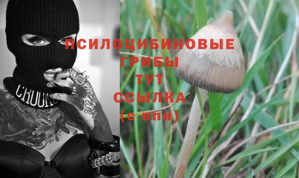 синтетический гашиш Ельня