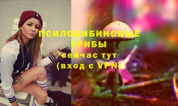 марки lsd Елизово