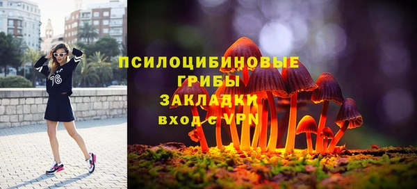 синтетический гашиш Ельня