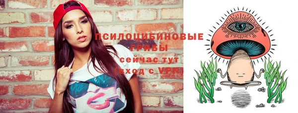 синтетический гашиш Ельня