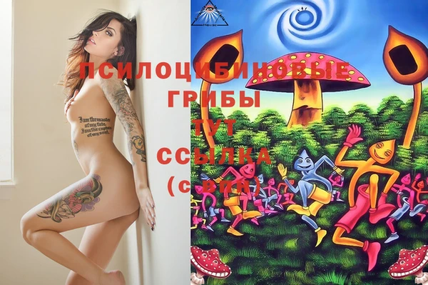марки lsd Елизово