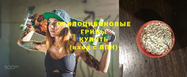 стафф Елабуга