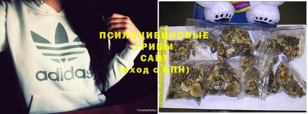 стафф Елабуга